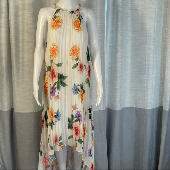 Alex Marie Dresses & Skirts - Alex Marie Ivory Floral Pleated Hi Low Gold Chain Strap Maxi Dress Sz 12